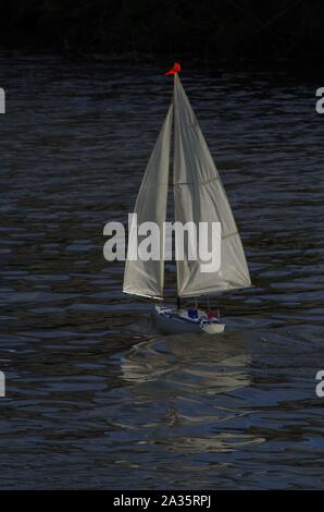 Model Yachting on the Exeter Ship Canal. Devon, UK. Stock Photo