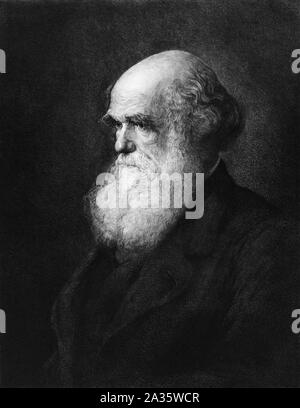 Vintage portrait of English naturalist, geologist and biologist Charles Darwin (1809 – 1882), whose famous works on evolutionary theory include “On the Origin of Species” in 1859 and “The Descent of Man” in 1871. Etching circa 1890 by Gustave Mercier, based on an 1875 painting by artist Walter William Ouless and published by Robert Lindsay of Philadelphia. Stock Photo