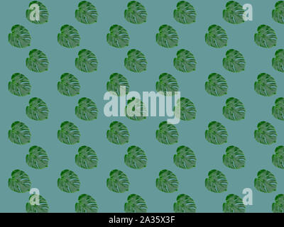 Monstera leaf seamless pattern. Tropical leaves on a gray-blue background. Stock Photo