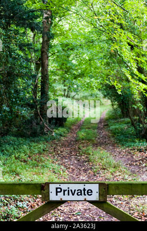 Private sign on a gate in front of a path through woodland in West Sussex. Stock Photo