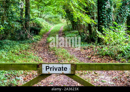 Private sign on a gate in front of a path through woodland in West Sussex. Stock Photo