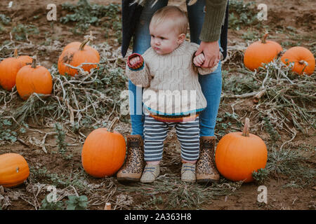 9 month old boy pumpkin picking Stock Photo