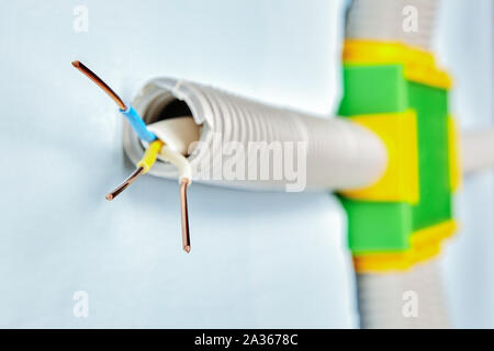 Home electrical wiring, hidden in a flexible plastic conduit running from the inside of the drywall wall, connected to a rectangular green plastic jun Stock Photo