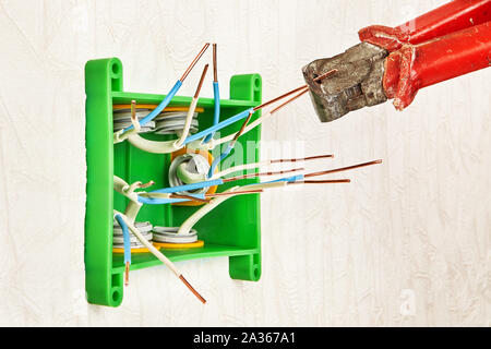 A handyman cuts the ends of copper wires using end cutters during electrical work in a residential building. Installation of a square plastic distribu Stock Photo