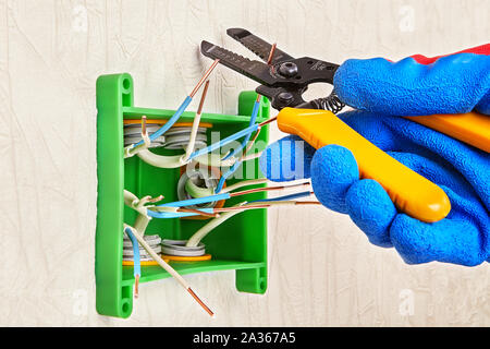 A hand in a blue protective glove holds a cutter to cut off the ends of electric copper wires. Installation of a new plastic electrical junction box, Stock Photo