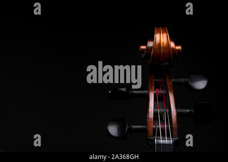 A close up high resolution image of a cello scroll, peg box, and tuning pegs isolated against a black background Stock Photo
