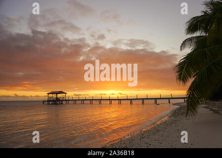 View of a dock leading out into water framed by palm trees on the tropical island of Fakarava in French Polynesia Stock Photo