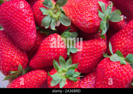 Close-up of some ripe strawberries that keep their green leaves as freshly picked Stock Photo