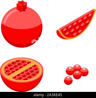 Pomegranate icons set, isometric style Stock Vector