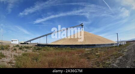 Over supply of wheat after tariff battle with China stored on the ground in South Eastern Washington state due to Trumps price war with export taxes Stock Photo