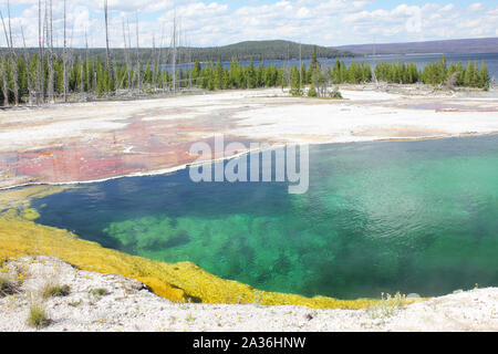 Detail of hot spring bacterial mat and deep blue boiling water, Yellowstone Lake, Yellowstone national park Stock Photo