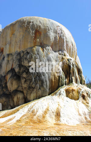 Orange Spring Mound, a large, orange-shaped dome Lower Terrace of Mammoth Hot Springs, Yellowstone National Park Stock Photo