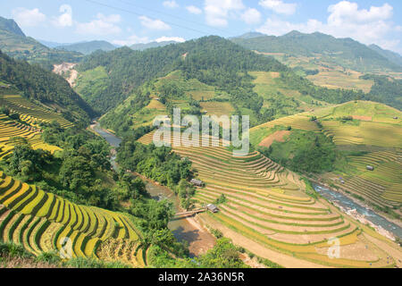 Green, brown, yellow and golden rice terrace fields in Mu Cang Chai, Northwest of Vietnam Stock Photo