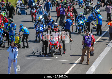 Phillip Island, Victoria, Australia. 06 October 2019 - Australian Superbike Championships Round Six From Phillip Island Grand Prix Circuit, Race One Grid -#46 Mike Jones racing for Desmosport Ducati on the grid. Credit: brett keating/Alamy Live News Stock Photo