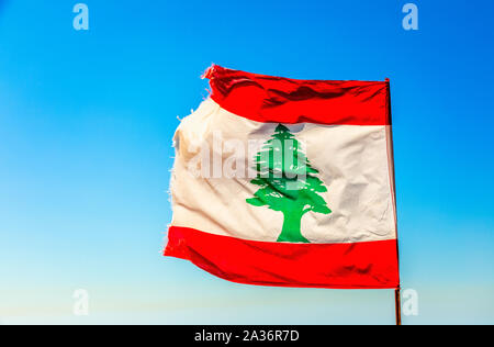 Lebanese red and white with green cedar tree flag waving on the  wind with blue sky, Byblos, Lebanon Stock Photo