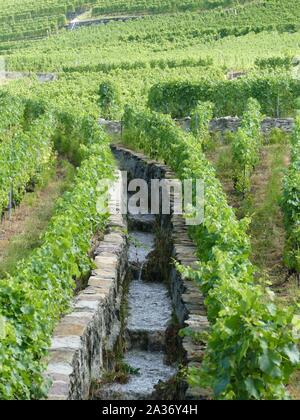 Irrigation channel running through a vineyard in Switzerland Stock Photo
