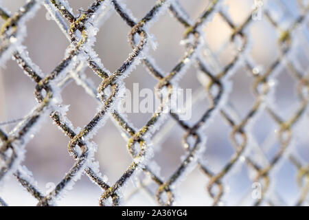 Frozen fence made of metal mesh covered with frost crystals, an early sunny cold morning, on a blurred background. Close-up. Stock Photo