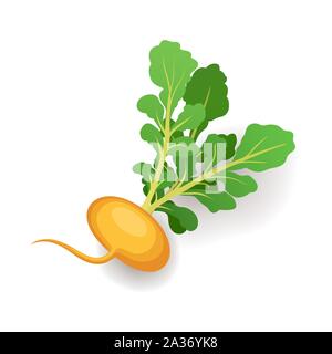 Yellow turnip with green leaves, vegetable icon isolated on white background, vector illustration. Stock Vector