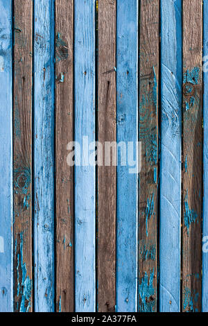 Background from old shabby blue narrow boards with two rows of nails. On many boards there is no paint, a lot of knots, arranged vertically. Vertical Stock Photo