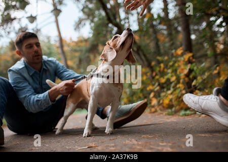 man holding his agressive dog, trying to calm it down, close up cropped photo Stock Photo