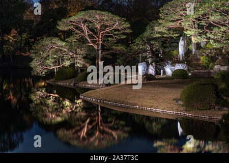 Autumn night light-up of big pine trees around a pond and the islet of the Rikugien garden in Tokyo. Stock Photo