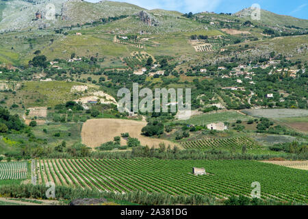 Landscape with vineyards, pastures and farms near Trapani, Sicily, agriculture in South Italy Stock Photo