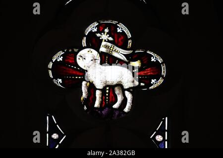 A Stained glass window by Frank Holt & Co. of Warwick 1906 depicting The Lamb of God, Agnes Dei, St May's Church, Halford, Warwickshire, England Stock Photo
