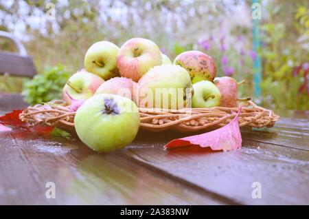 Fresh autumn red and green apples with dew drops and red fall leaves in wicker plates on wooden table. Concept for seasonal fruits, autumn harvest, or Stock Photo