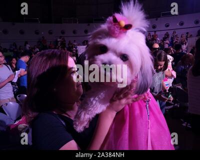 Quezon City, Philippines. 06th Oct, 2019. A special holy mass with pet blessing officiated by Fr. Joey Paras in Quezon City was flocked by pet lovers in time of World Animal Day. (Photo by Joseph Dacalanio/Pacific Press) Credit: Pacific Press Agency/Alamy Live News Stock Photo