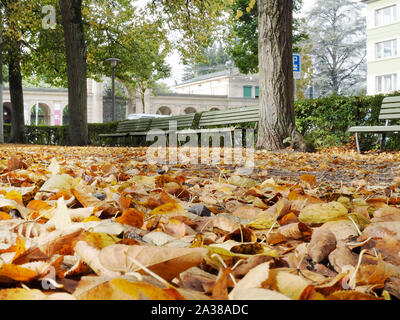 Laub auf dem Boden in einem Park in Zürich Stock Photo