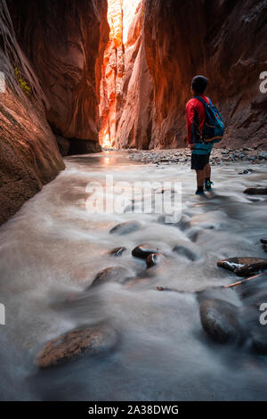Hiker Standing in Water in Slot Canyon, The Narrows, Zion National Park, Utah, United States Stock Photo