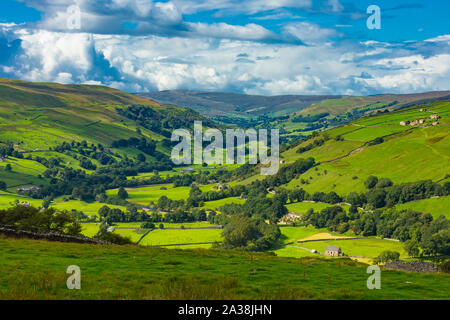The Yorkshire Dales.  Askrigg road to Gunnerside in Swaledale.  Farmsteads, drystone walling, fields and meadows with the River Swale running through Stock Photo
