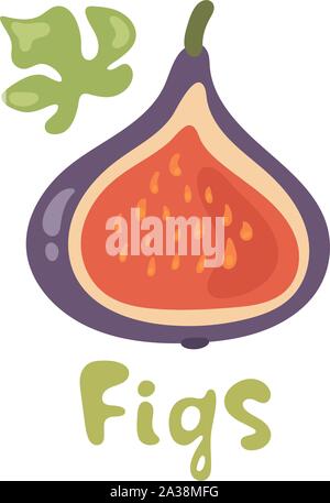 Summer tropical fruits for healthy lifestyle. Fig, purple half fruit. Vector illustration cartoon flat icon isolated on white Stock Vector