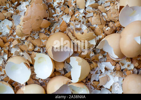 Top view of many big and small pieces of eggshells. Stock Photo