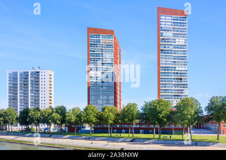 Modern office buildings on the Rechtbank, Rotterdam, Netherlands Stock Photo
