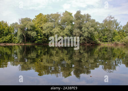 trees reflecting in water of river dordogne in aquitaine, Perigord noir, France Stock Photo