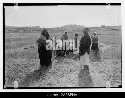 Ruth series, threshing floor, winnowing, etc. Stock Photo