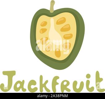 Jackfruit vector illustration. Vector illustration cartoon flat icon isolated on white Stock Vector