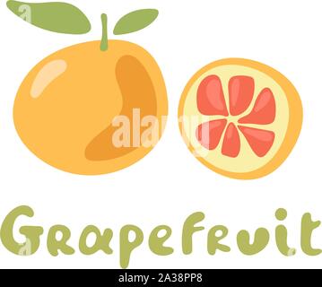 Grapefruit. A whole grapefruit and a cut. Vector stock illustration. Stock Vector