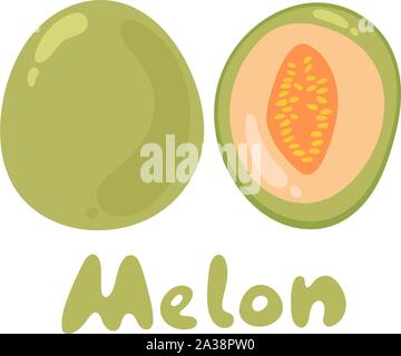 Cantaloupe melon, fruit vector illustration. Cartoon flat icon isolated on white with text Stock Vector