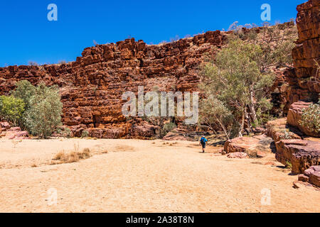 A male hiker in the Australian outback at Trephina Gorge, East MacDonnell Ranges, in the Northern Territory, Australia Stock Photo