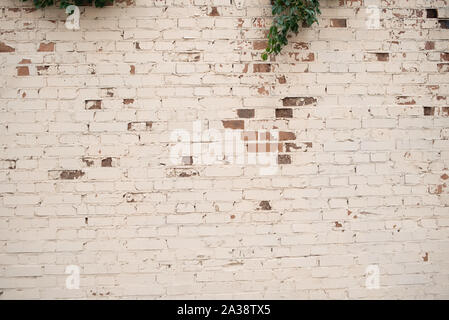Background foBrick texture with soft lightr designers antique brick texture in bright colors. Brick wall texture in daylight. Many bricks. A series of Stock Photo
