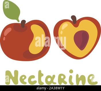 Cartoon of an orange red and yellow nectarine fruit with green leaf. Half a nectarine with brown seed vector illustration on white background. Doodle Stock Vector