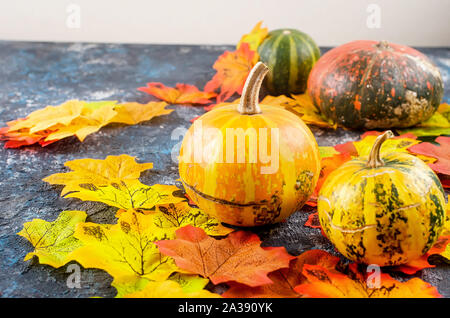 Decorative Mini raw pumpkins with fall dried leaves on dark concrete  background, autumn concept, copy space Stock Photo