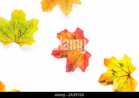 Bright colored red, orange and yellow fall dried leaves on white paper background, autumn concept, copy space Stock Photo