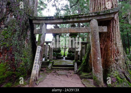 torii-gate-overgrown-with-moss