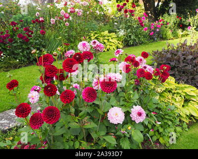 Chenies Manor sunken garden dahlias in shades of pink, carmine, red and mauve with reddish leaves, a variety of green foliage and grassy paths Stock Photo