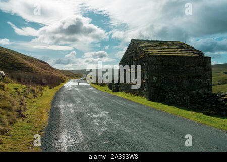 Old stone barn and sheep in the road in Birkdale in Upper Swaledale on the B6270 above Nateby, Yorkshire Dales
