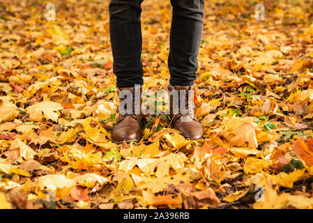 Hipster legs in brown shoes in autumn park with yellow and red maple fallen leaves around. Seasonal conceptual background image Stock Photo