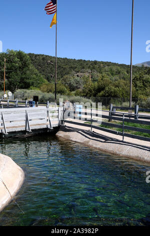 Ponds for the almost fully grown rainbow trout at the Red River State Trout Hatchery, New Mexico. Stock Photo